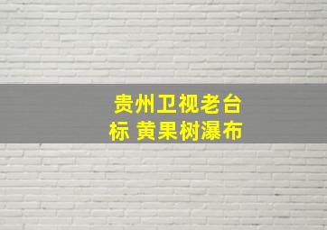 贵州卫视老台标 黄果树瀑布